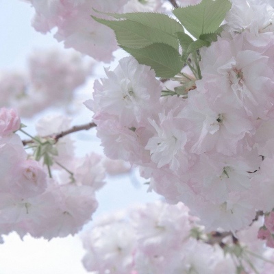 Furry插画背景绘制技巧兽圈社群